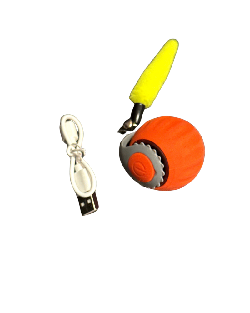 Balle électronique interactive P02 pour chat – 3 modes & USB