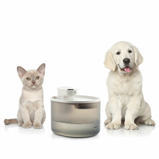 Fontaine pour Chats Rechargeable avec Détecteur